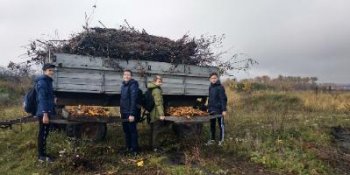 Экологический субботник "Сделаем вместе!"